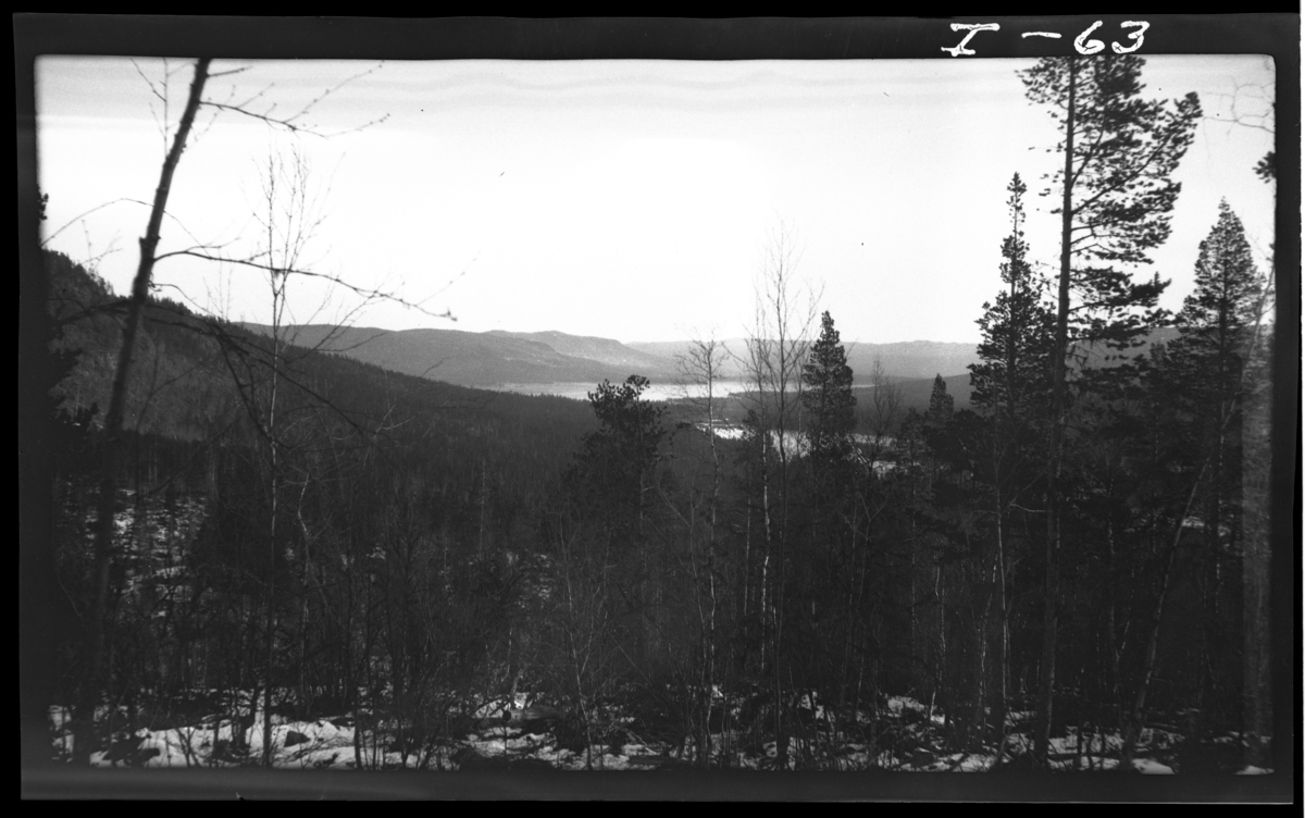 Bildet tatt fra Tjørnerud ved Svangtjern. Løstekulten til venstre. Numedalslågen nederst til venstre.