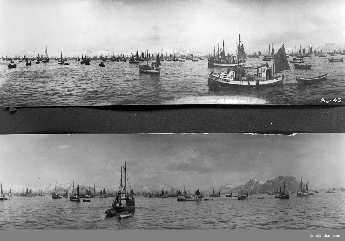 To bilder fra lofotfisket, flere skøyter og sjarker, motoriserte, på feltet N 21 Ø, M/S "Stabil" på 26 fot, bygd i 1929, eier Julius Larsen, Sandset i Vesterålen.