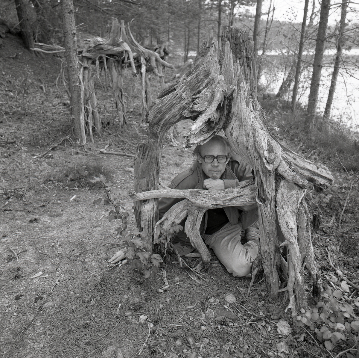 Mannen med glasögon sitter under stubben och trädrötterna. Det finns även jord, gräs, löv, kottar, träd, vatten och fler stubbar med trädrötter. Törn 1990