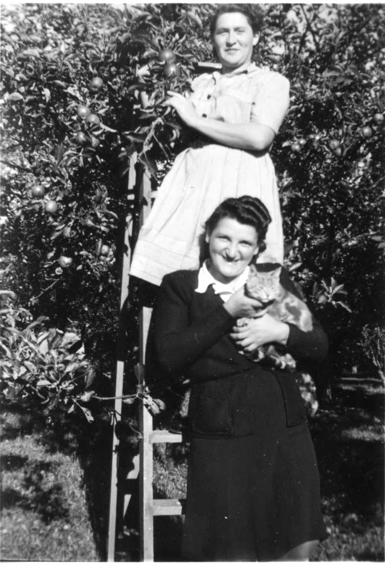 Två unga polska kvinnor står vid en trappstege rest vid äppleträd. En kvinna i ljus klänning står högst upp och plockar frukt. Nedanför i mörk dräkt en annan kvinna med en katt i famnen.
