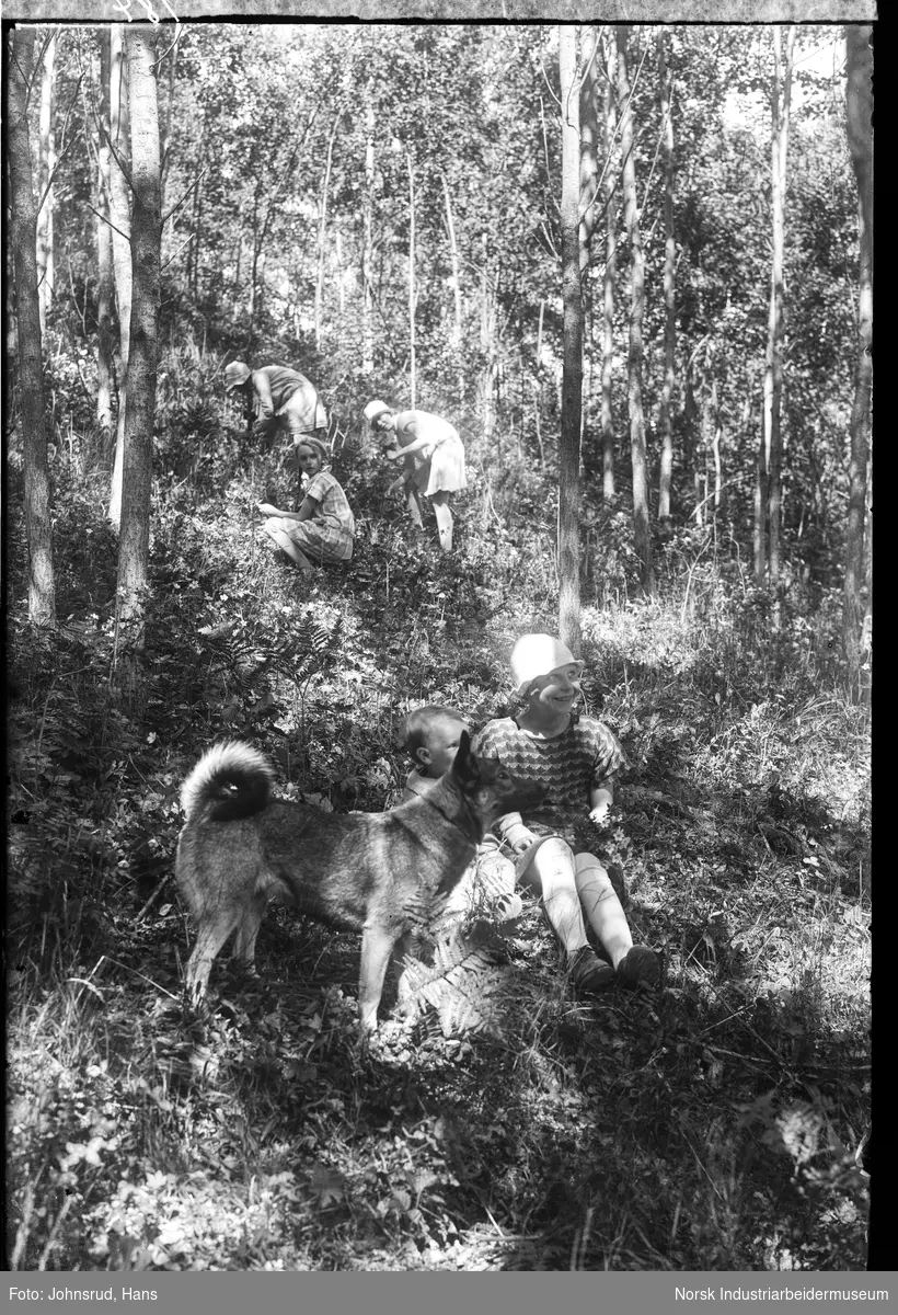 Barn og voksne med elghund i skogen.