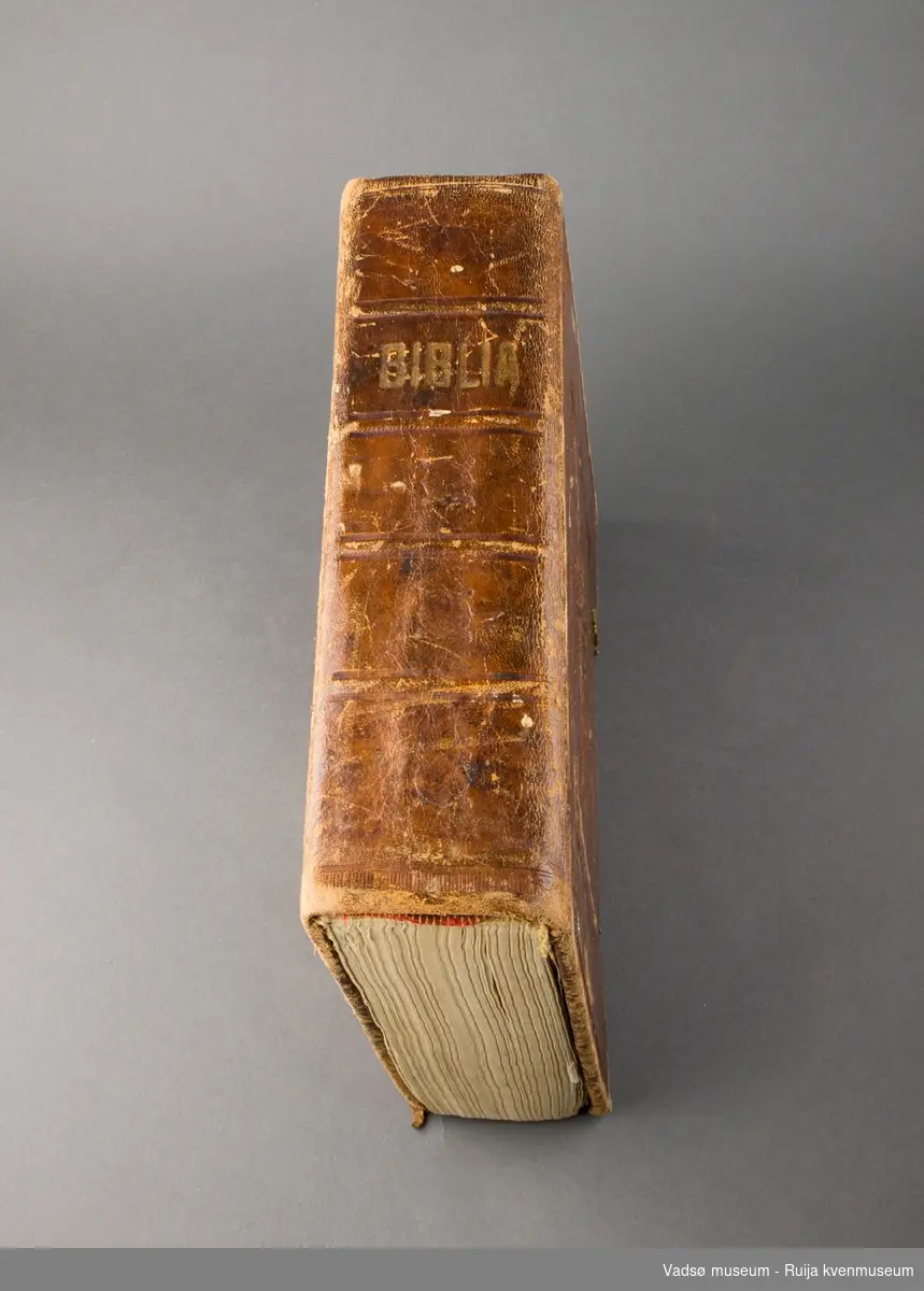 Innbundet bibel med skinnkledde trepermer. Dekor i dyptrykk. Forsiden av boka er dekorert med kors, ornamenter og border i ytterkant. Permen er utstyrt med låsebeslag og lærreimer for å kunne holde boka lukket.
