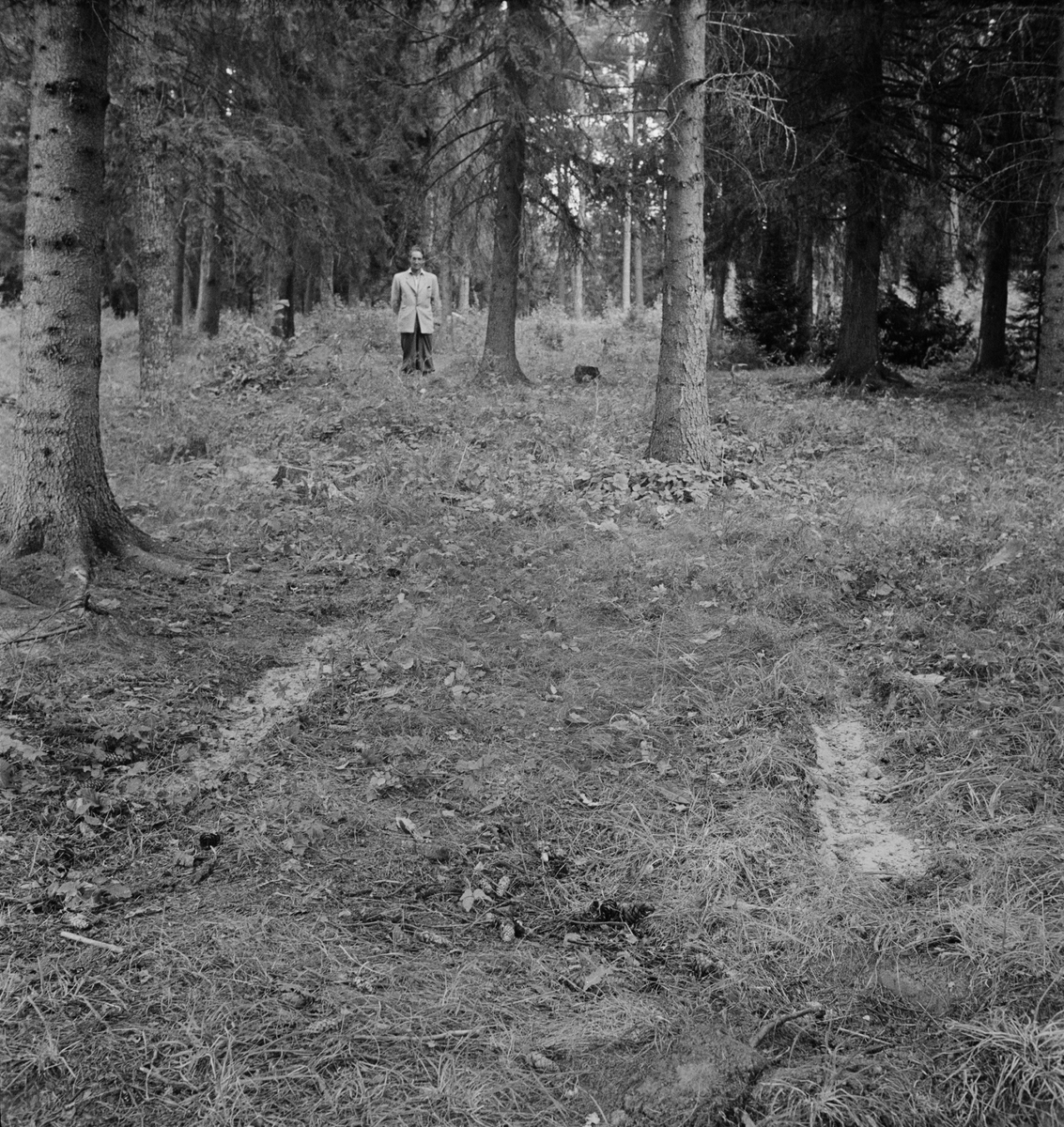 Olycka vid Rosenlund, Uppland 1947