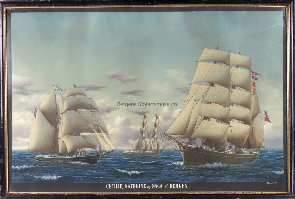 Skipsportrett av flerskipsmaleri CECILIE, KATHRINE og SAGA under fulle seil. Skonnert CECILIE fører vimpel med skipets navn samt russisk flagg. Skipene fører unionsflagg.