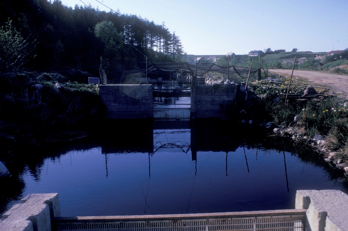 Oppdrett, 1974, Egeland : En lang jorddam som går paralellt med en vei. Dammen er delt i flere seksjoner av betongvegger og metallrister. Noe bebyggelse i bakgrunnen.