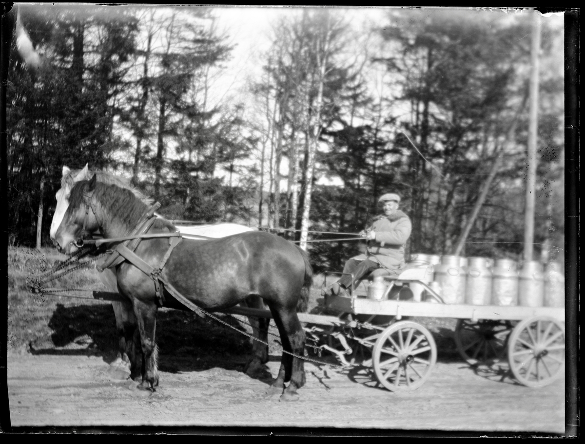 Nisse Larsson med häst och vagn