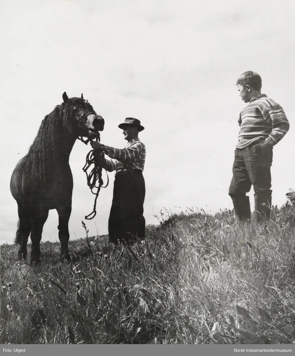 Mann med hatt, anorakk og ryggsekk holder hest. Hovslager slår med hammer på hestesko