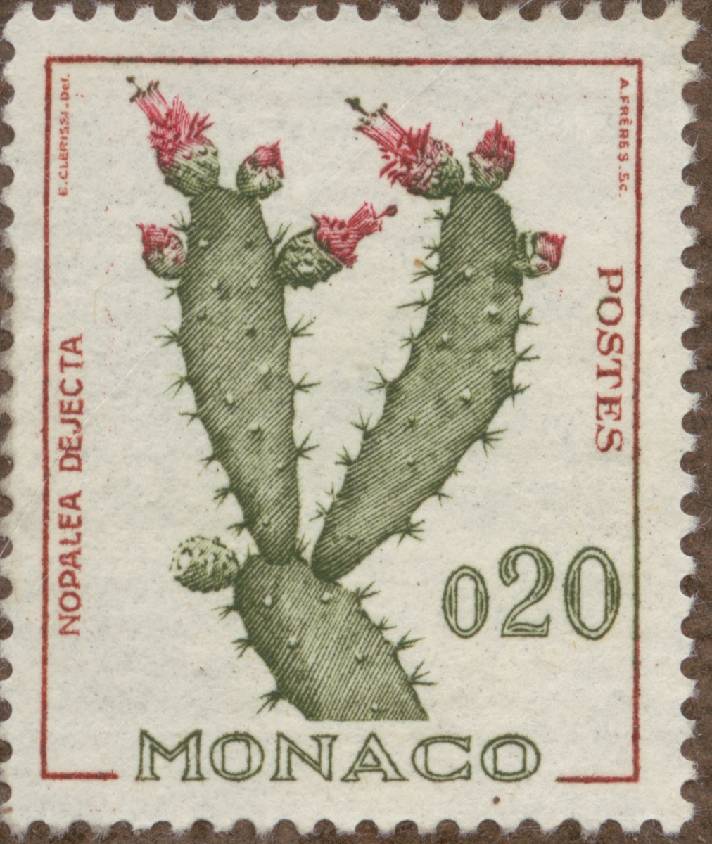 Frimärke ur Gösta Bodmans filatelistiska motivsamling, påbörjad 1950.
Frimärke från Monaco, 1960-62. Motiv av kaktus. "Rainer III serie: diverse".