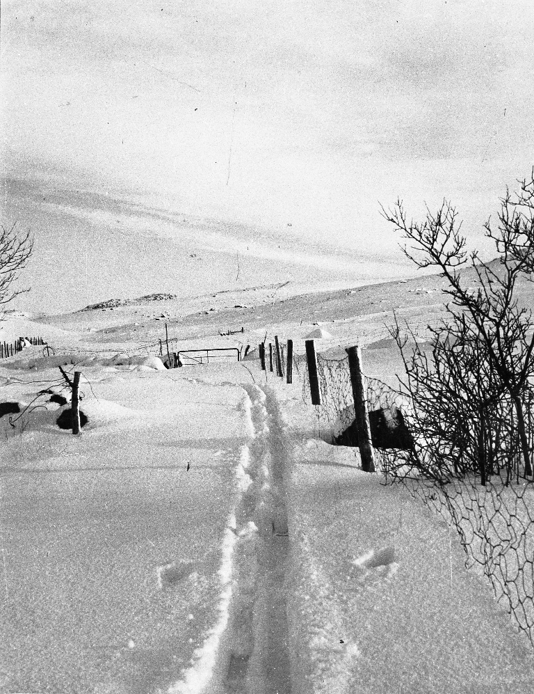 Vinterbilete med snø på garden Kverneland med utsyn i austleg retning mot Brekko.