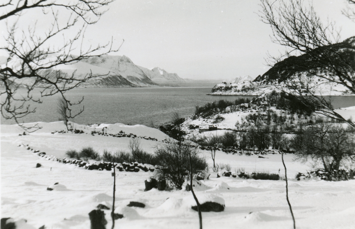 Oversiktsbilde sett fra Sunde på Sula over Solavågen og Storfjorden.