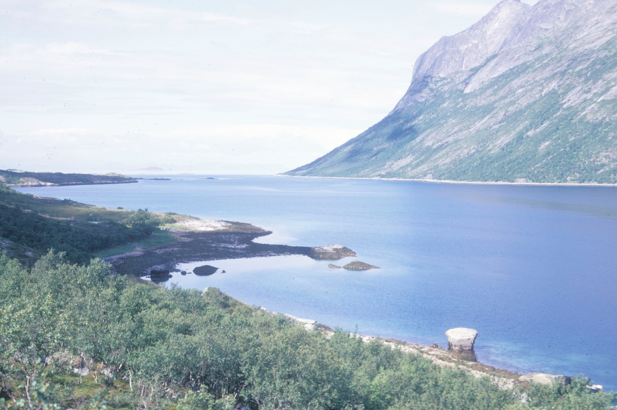 Foto fra Indre Selfjord, Senja. I bakgrunnen åpner fjorden seg ut mot havet. Flakkstad fiskeoppdrett hadde et oppdrettsanlegg her.