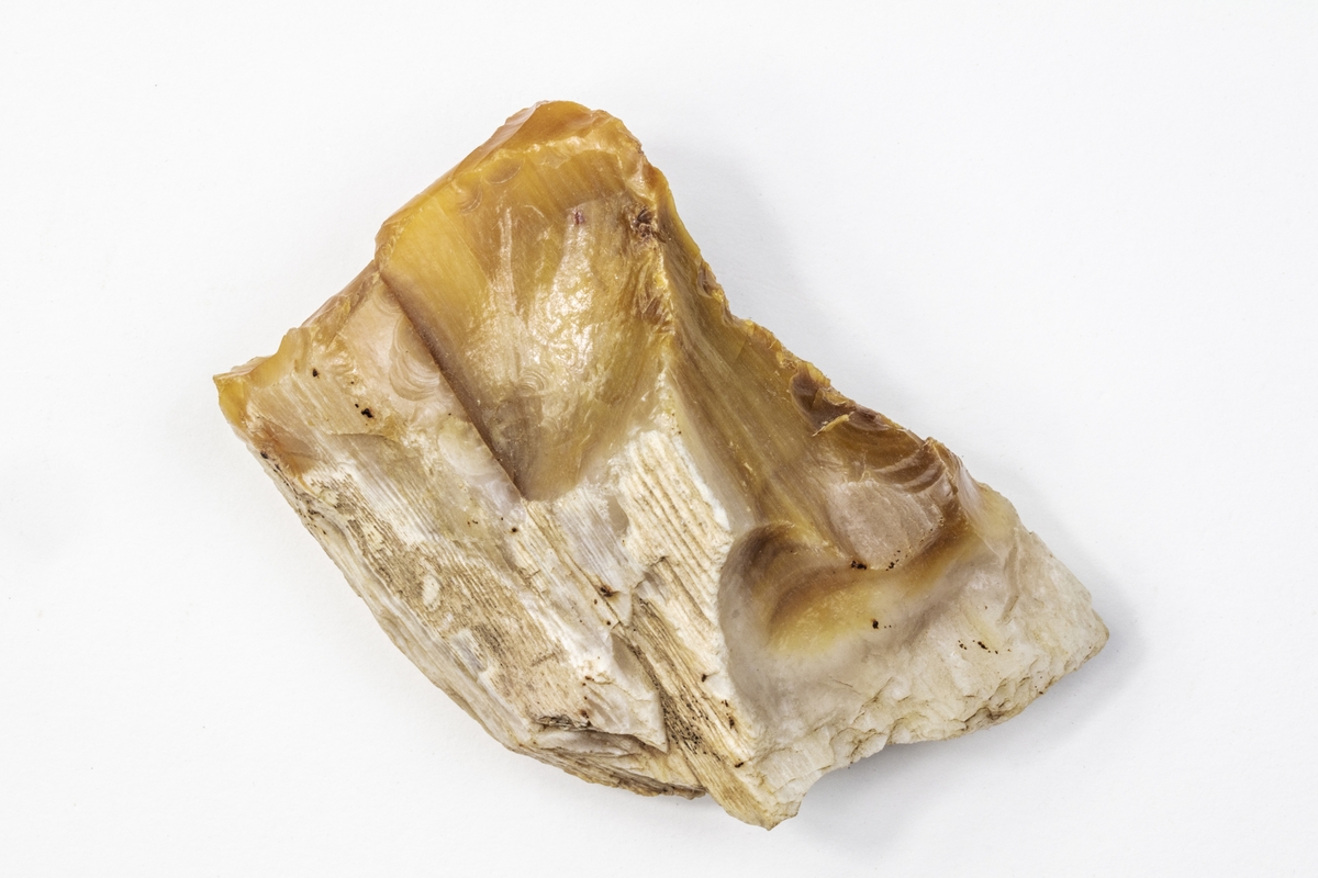 Ett mineral som är en opal och består av vattenhaltig kiseldioxid. Detta exemplar kallas även träopal på grund av formen. Trädet förstenas och opalen övertar strukturen av trä. Exemplaret har okänt ursprung men ingår i Adolf Andersohns samling.