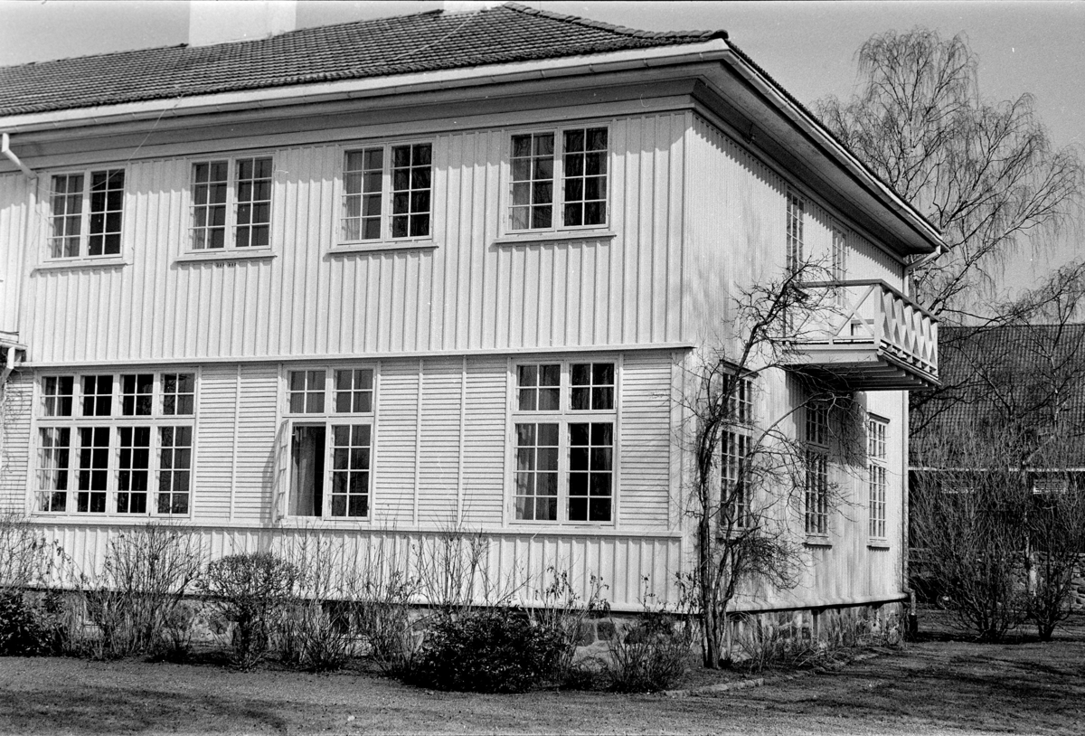 Staur gård, Stange.