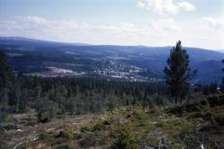 Utsikt over Berkåk sentrum.