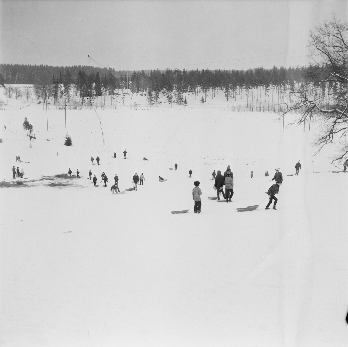 Full fart i Torslunda, Tierps socken, Uppland, februari 1972