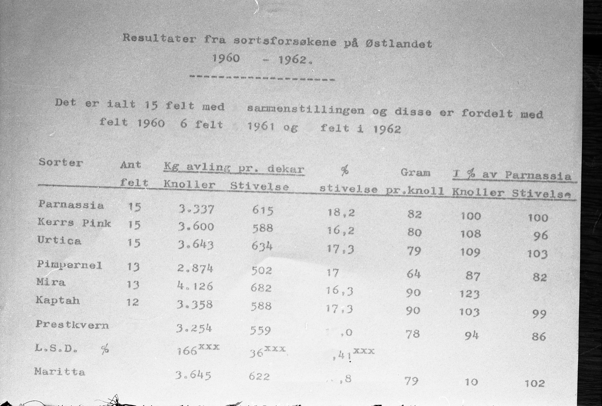 Avfotografert tabell fra forsølksvirksomhet for poteter. Tabellen er merket "Resultater fra sortsforsøkene på Østlandet 1960-1962". Tre identiske bilder.