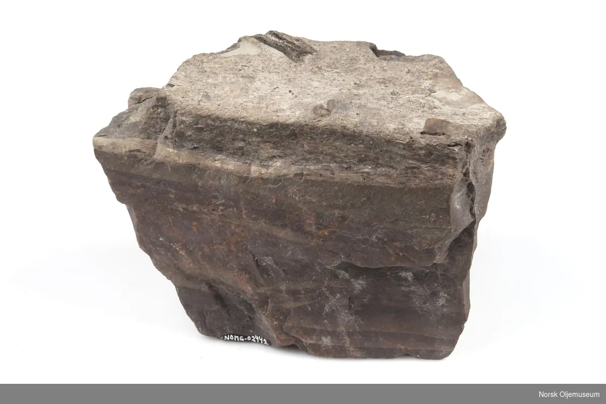 Kalkstein av kolonidannende hornkoraller fra tidsperioden Perm.