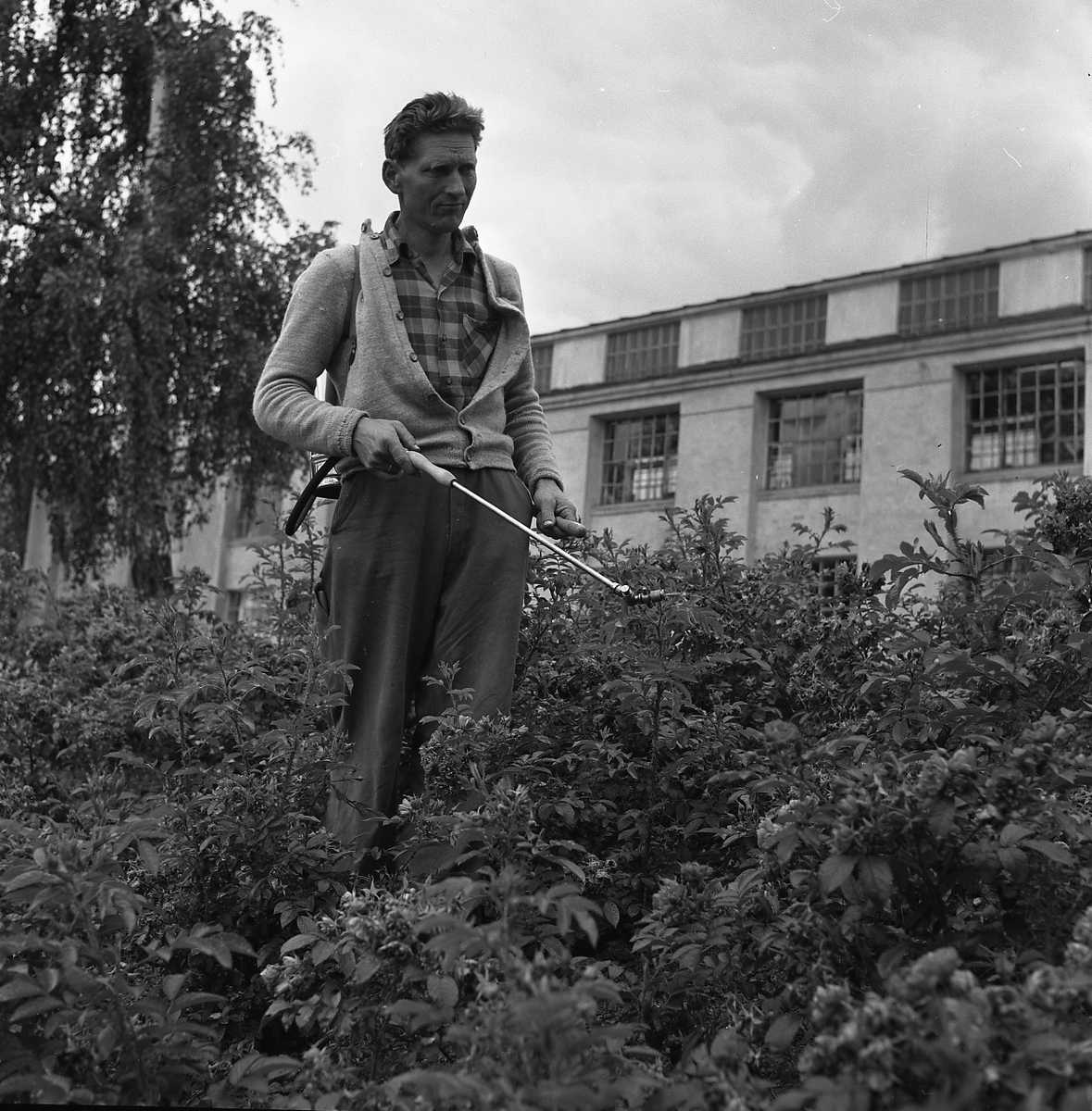 Gartner Myhr på Kongsberg Våpenfabrikk. Norsk Bergverksmuseum