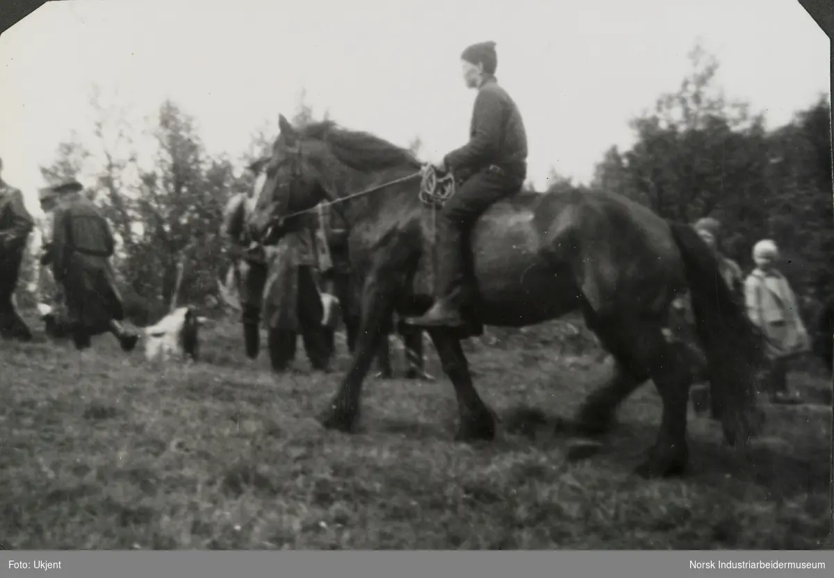 Hesteslepp på Sundet, Møsstrond 1964. Mann rir barbak på hest ved forsamling av mennesker