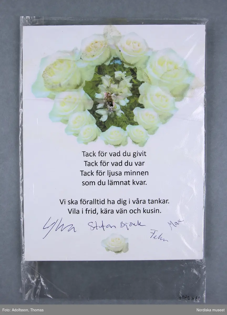 1 styck inplastad pappskiva med vers och rosenbild och namnteckningar. 

Längd 21 m.
Bredd 16 cm.

2019-03-01 Cecilia Hammarlund-Larsson/Lena Kättström Höök