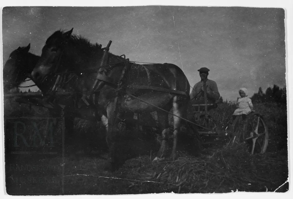 To hester forspent en slåmaskin og på den sitter en mann og ei lita jente.