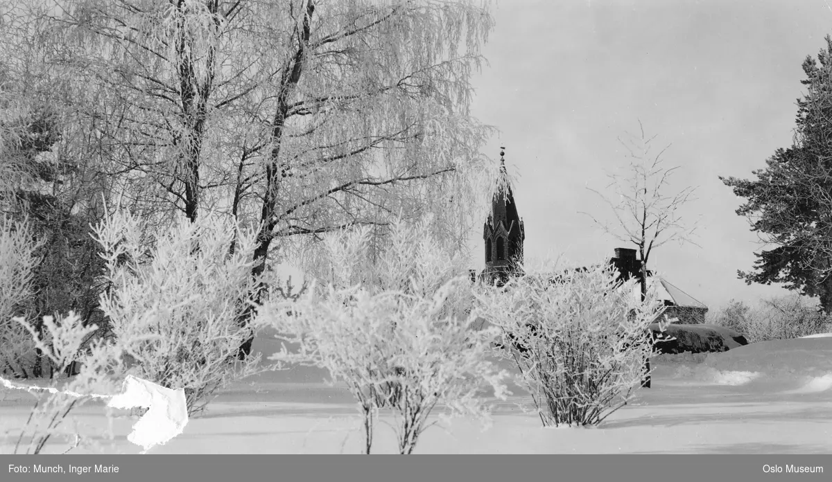 trær, snø, Nordstrand kirke
