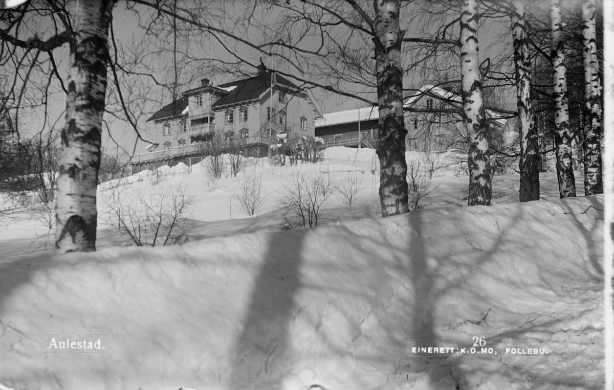 Østre Gausdal, Follebu, Prospektkort med Aulestad om vinteren sett fra oppkjørselen.