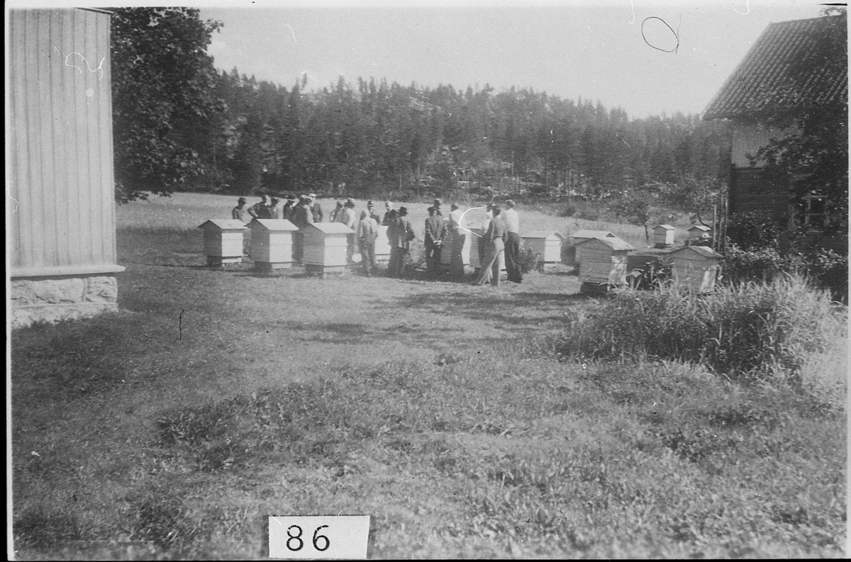 Birøktermøte på Østre Blegeberk i Sigdal, omlag 1940. Gunvald Albjerk hadde mange kuber på gården.