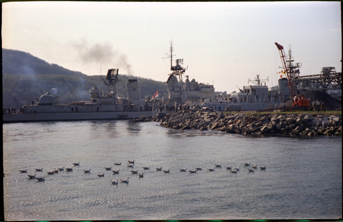 utenlandske marinefartøy ved kai på Larsneset.