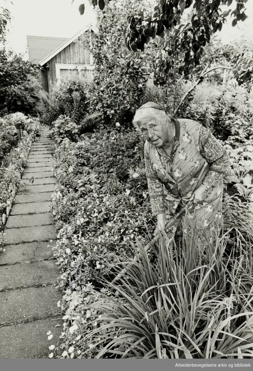 Rodeløkka kolonihage. Ester Michaelsen, "Blomster-Lise" steller med hagen sin. August 1979