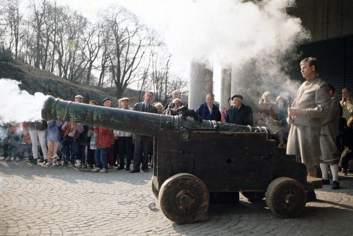 En av Vasas 24 pundiga kanoner avfyras inför publik på invigningsdagen för publik av Vasamuseet.