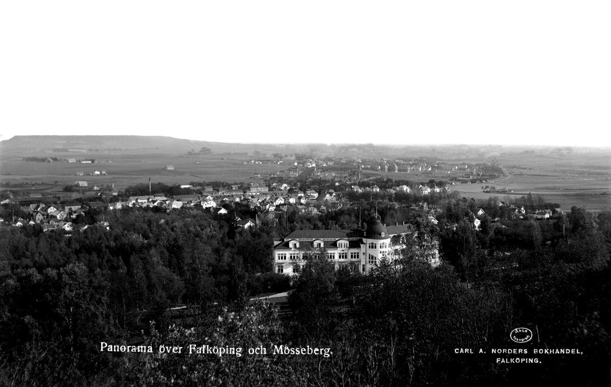 Panorama över Falköping.