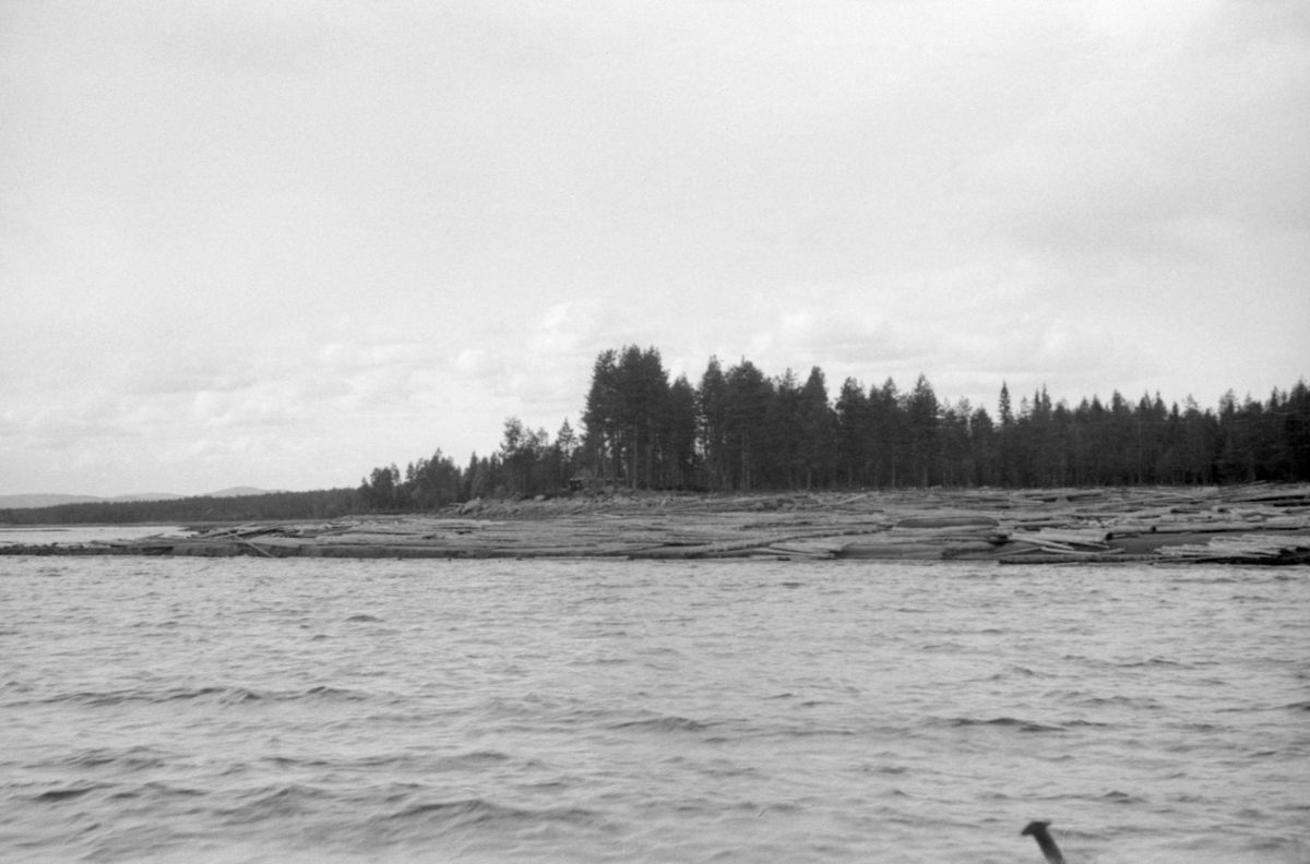 Osensjøens strandsone ved Fuglesanden, som ligger på sjøens østside, sommeren 1941. Fotografiet er tatt fra båt inn mot land, der det ligger en god del tømmer oppover strendene til tross for at opptaket ble gjort i juni. Sjøen var tappet såpass langt ned at utislagsarbeidet må ha blitt krevende. I bakgrunnen står barskogen tett.

I 1941 ble 150 683 tømmerstokker innmeldt til fløting fra Osensjøens strender. Dette utgjorde om lag 30 prosent av leveransene i Osenvassdraget. Det øvrige virket kom fra tilløpselvene og fra avløpselva Søndre Osa med sidevassdraget Østre Æra. 1941 ble for øvrig en helt spesiell fløtingssesong i Osen. Glommens og Laagens brukseierforening tappet nemlig sjøen kraftig foregående vinter. Ettersom det var lite snø og en kjølig vår med lite nedbør, tok det lang tid å fylle sjøen igjen. Her lå det fortsatt tømmer i ei tørrlagt strandsone, sjøl om bildet er tatt i juni. Tappinga av fløtingsvirke gjennom Osdammen ble ikke startet før 4. august. Dette innebar etterfløting i Glomma sør for Rena, der østerdalstømmeret for lengst hadde passert, og ikke ubetydelige ekstrakostnader for Glomma fellesfløtingsforening. Utgiftene knyttet til utislagsarbeidet langs Osensjøens strender ble en forhandlingssak mellom skogeierne og Brukseierforeningen.