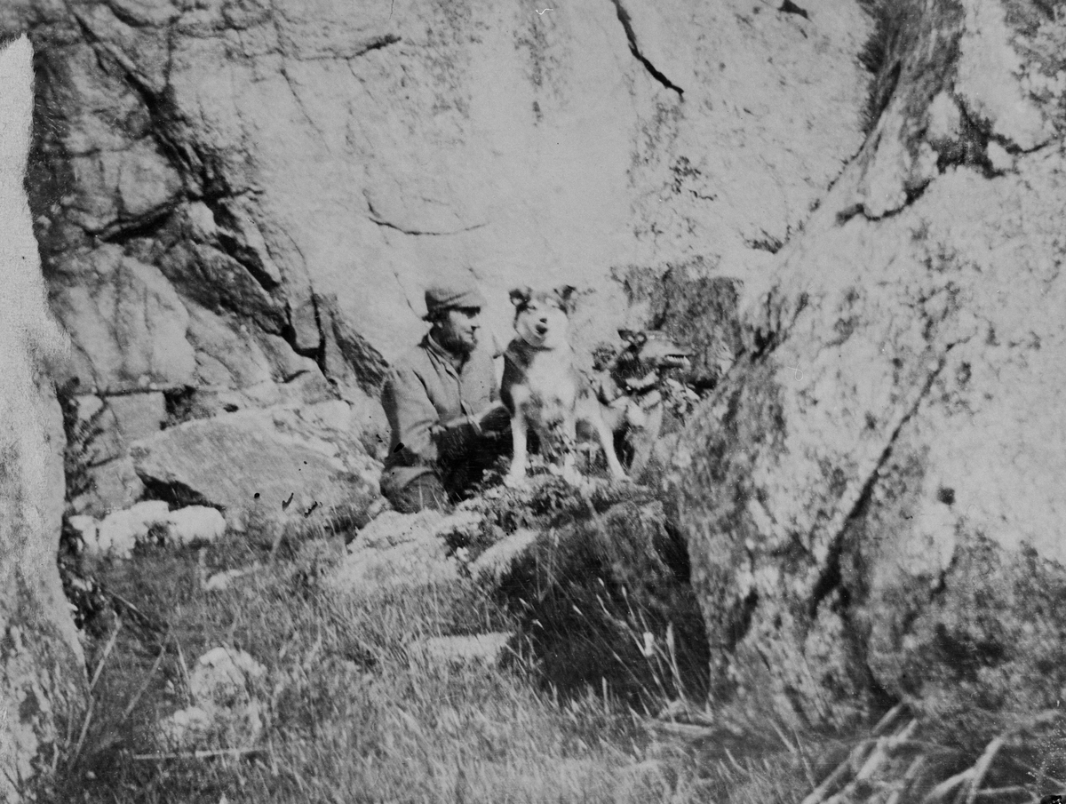 Bildet viser Nils Tungen, jaktlos for General James Edward Blackwell sammen med to hunder. Bildet er tatt i Svankilden, Kvenvær i 1899