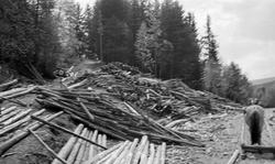 «Tømmer levert til tyskerne barkes for at medtas som vedtømm