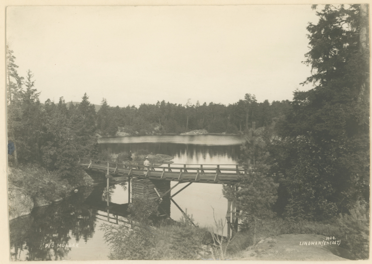 Molbæk-tjernet (Mosseskogen) - Mossebibliotekene / DigitaltMuseum