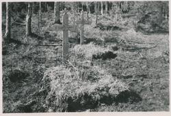 Falstadskogen 1945-49. Nærmest ligger grav 11, med teksten "