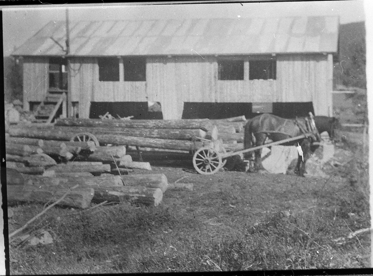 Tømmerkjøring på langvogn (lastevogn) med hest. Saga til Lars Gunnerud, på Tangen. Ca. 1942