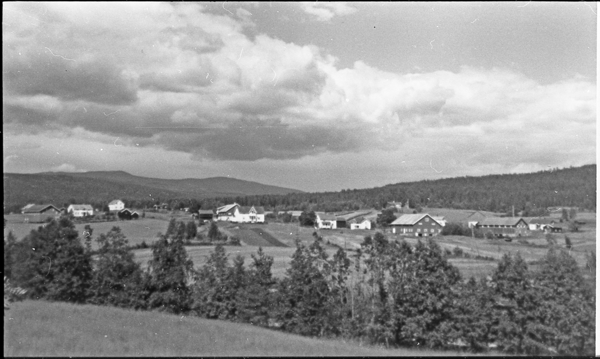 Eidalsroa. Eidals-gardene med Norefjell i bakgrunnen. Ca. 1970.