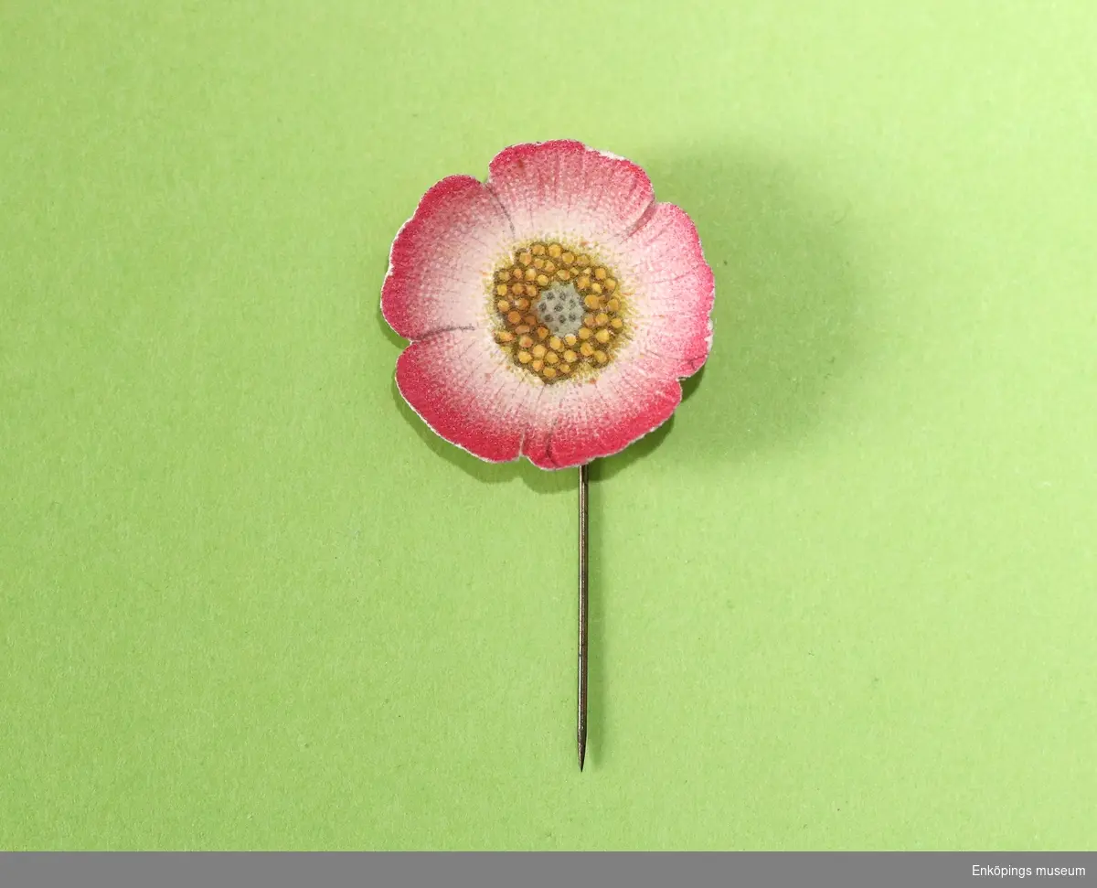 Majblomma från år 1917.
Blomman är gjord av papper och föreställer en törnros i rosa, vitt och gult. Blomman har ingen mittknapp. 
Det som håller blomman samman är en nål av mässing.