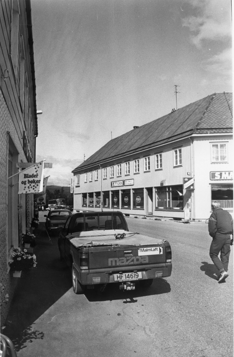 Alvdal  sentrum