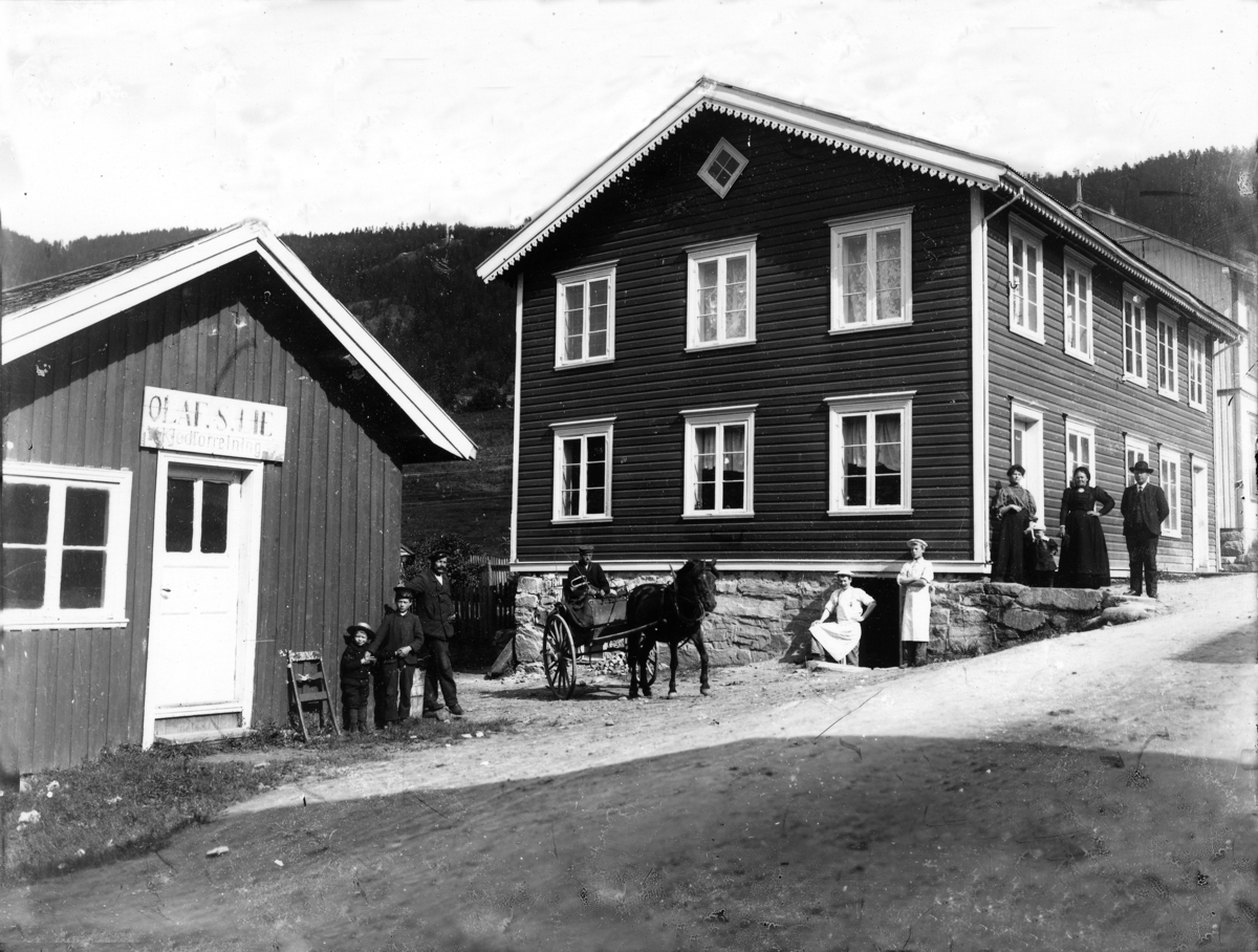 Fotosamling etter Øystein O. Kaasa. (1877-1923). Olaf S. Lie Kjødforretning i Kvitseid.
Kaasa ble født i Bø i Telemark på husmannsplassen Kåsa under Vreim. Han gikk først i lære som møbelsnekker, forsøkte seg senere som anleggsarbeider og startet etterhvert Solberg Fotoatelie i Seljord, (1901-1923). Giftet seg i 1920 med Sigrid Pettersen fra Stavern. Han ble av mange kalt "Telemarksfotografen".
Kaasa fikk to sønner Olav Fritjof (1921-1987) og Erling Hartmann f 1923. Olav Fritjof ble fotograf som sin far, og drev Solberg Foto i Staven 1949, Sarpsborg 1954 og Larvik fra 1960. Hans sønn igjen John Petter Solberg drev firmaet frem til 1990.
