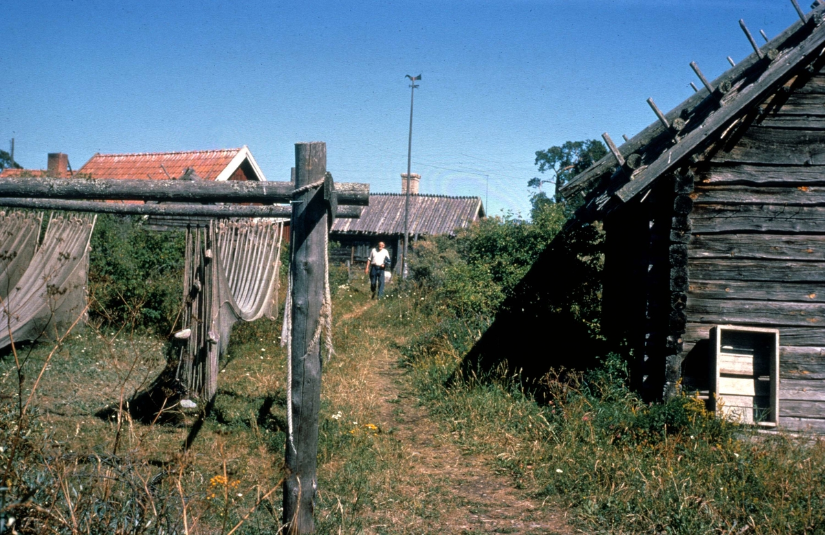 Kokhus med vedtak, sjöbodar med vasstak, Glaskalludden, Fågelsundets fiskeläge, Hållnäs socken, Uppland 1969