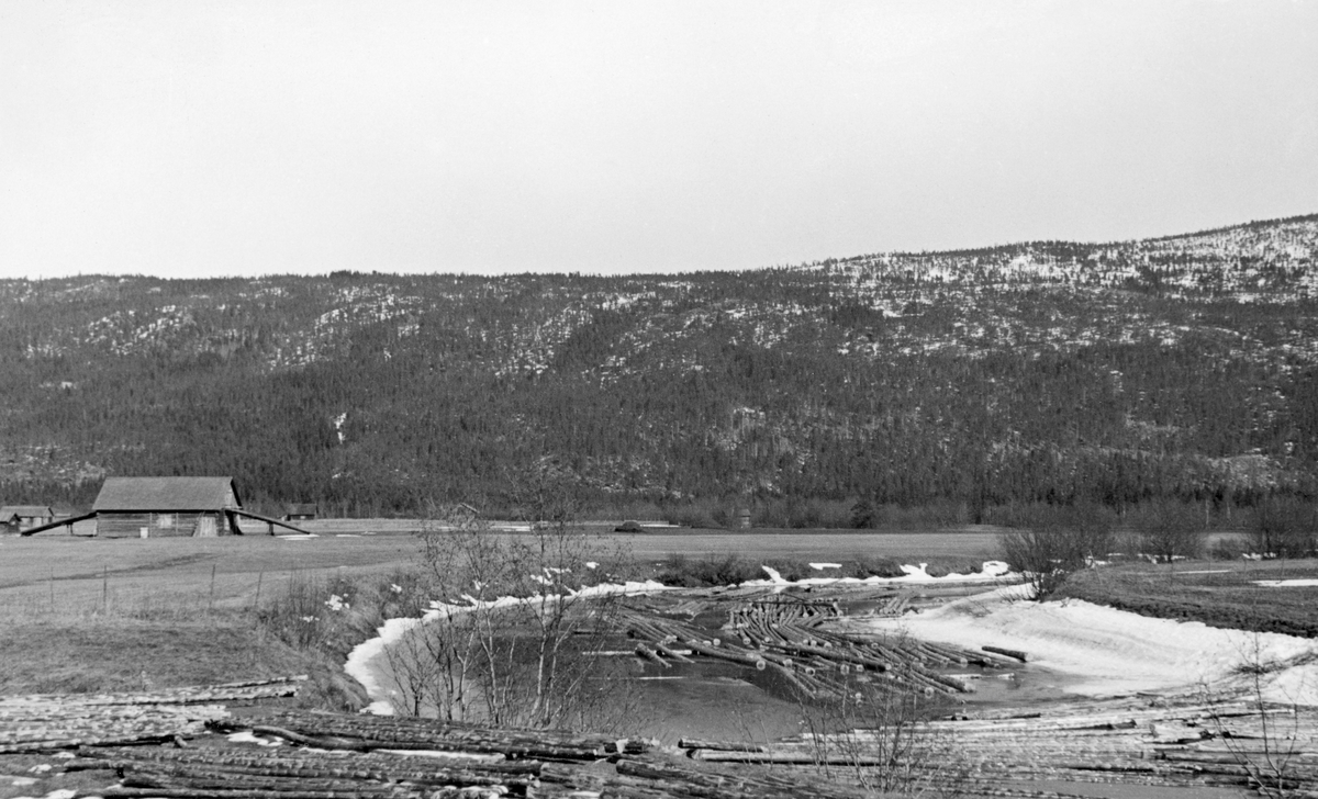 Fløtingstømmer i elva Nordre Rena våren 1942. Fotografiet er tatt på Kvarsevja, ei flat elveslette mellom bygdesenteret i Øvre Rendalen og Elvål-grenda, der elva hadde et meandrerende løp som grunneierne i 1934-35 fikk Vassdragsvesenets hjelp til å «gjennomstikke» med et mer rettlinjet kanalisert løp som ikke skulle grave i tilstøtende engarealer. I flomperioder hadde elva likevel en tilbøyelighet til å søke tilbake til sitt gamle løp. Her har man åpenbart brukt det gamle elveløpet som leveringssted for fløtingsvirke.  Fotografiet viser en del barket tømmer som dels er florert på den (på opptakstidspunktet) smeltende elveisen, dels på elvebrinken.  Til venstre i bildet et stort, flatt engestykke med ei laftet utløe i to etasjer med kjørebruer i begge gavler.  I bakgrunnen en skogkledd ås.