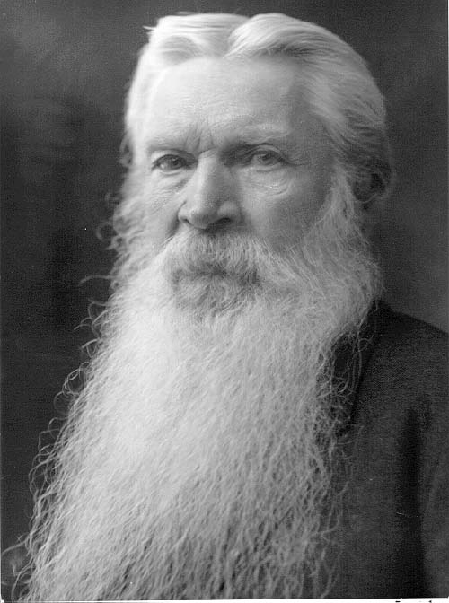 Porträtt av ingenjör Janzon. En man med stort ljust skägg.