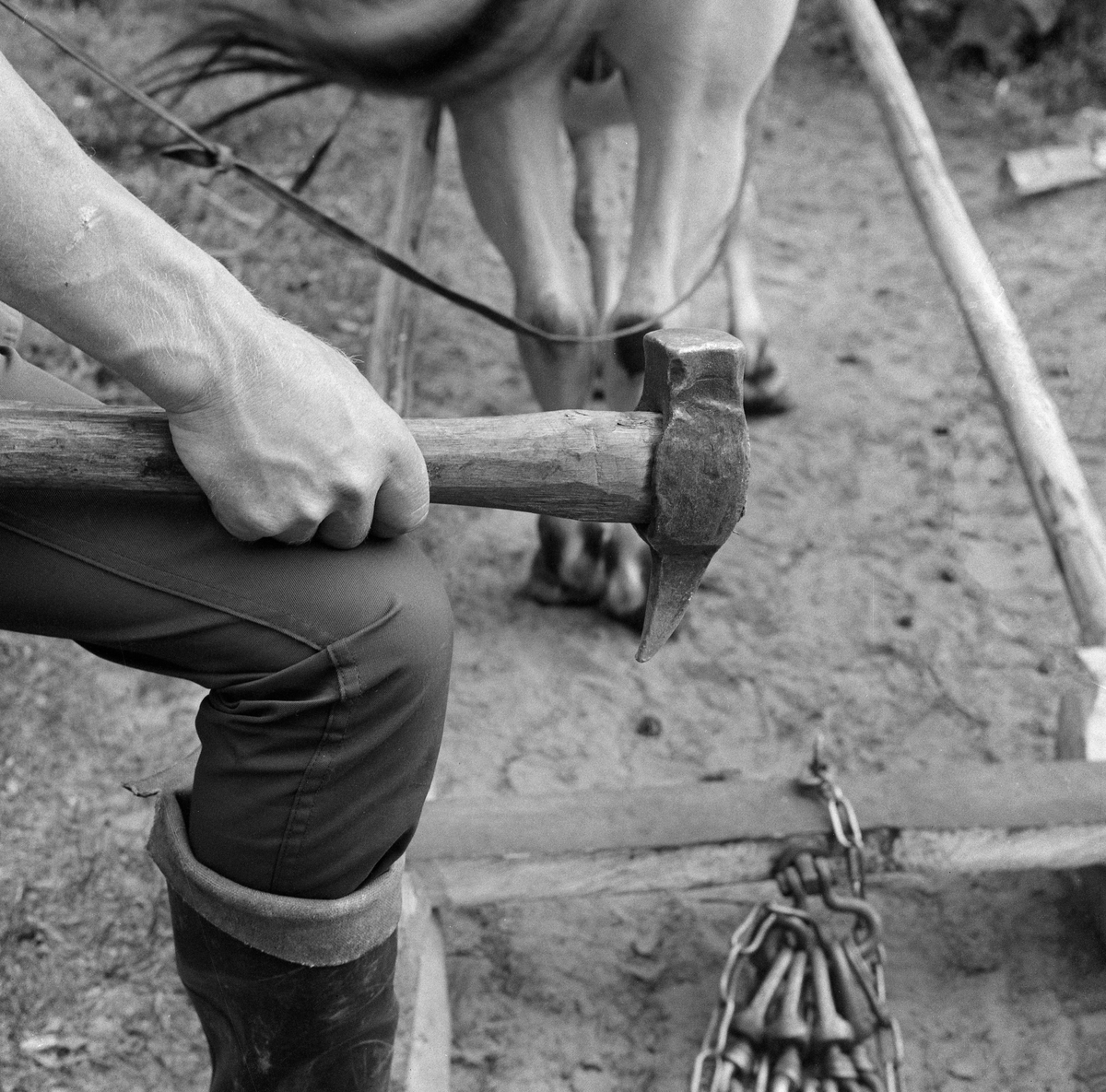 Person med pigghammer. Tømmerkjøring med dragslede, Åmli, Aust-Agder.