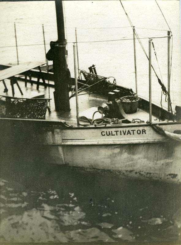 Motorbåt brukt ved østersavl
