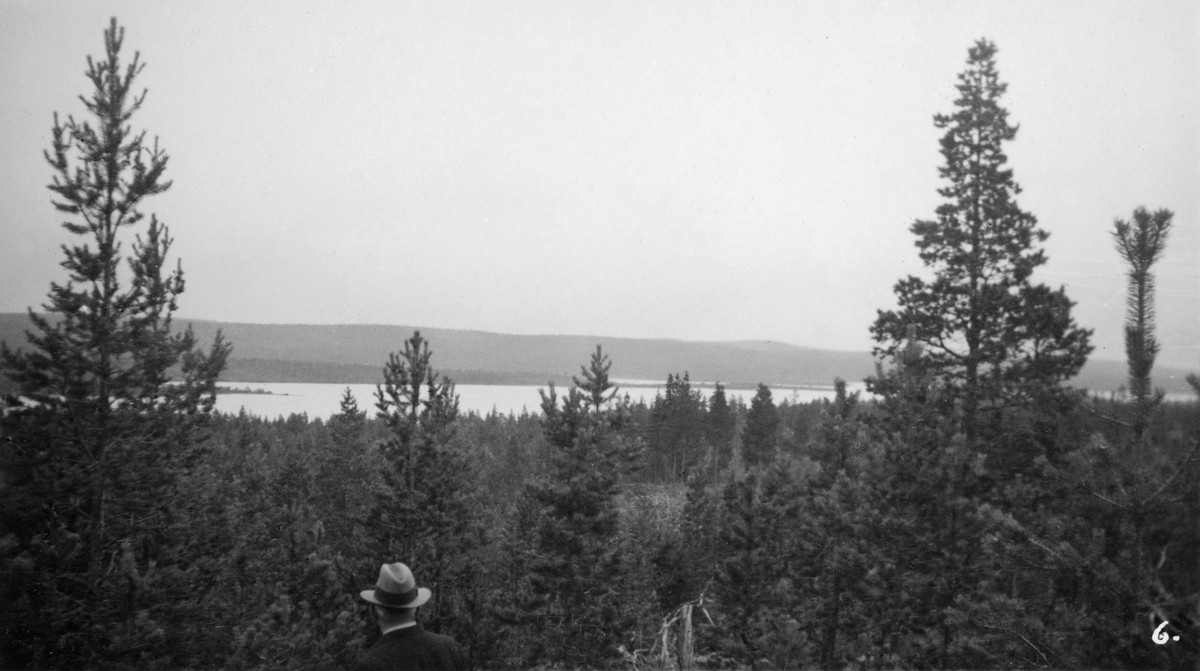 Landskapsbilde fra Kjerringneset i Øvre Pasvik i Finnmark.  Fotografiet er tatt fra et høydedrag nedover en slak skråning mot et vatn, antakelig Vaggatem.  I dette terrenget vokste det en god del ungfuru da bildet ble tatt. I forgrunnen (ved nedre bildekant) ser vi bakhodet på en mann med hatt.  Dette var antakelig en av deltakerne under Nord-Norges Skogmannsforbunds finnmarkekskursjon sommeren 1938, da dette fotografiet ble tatt. 