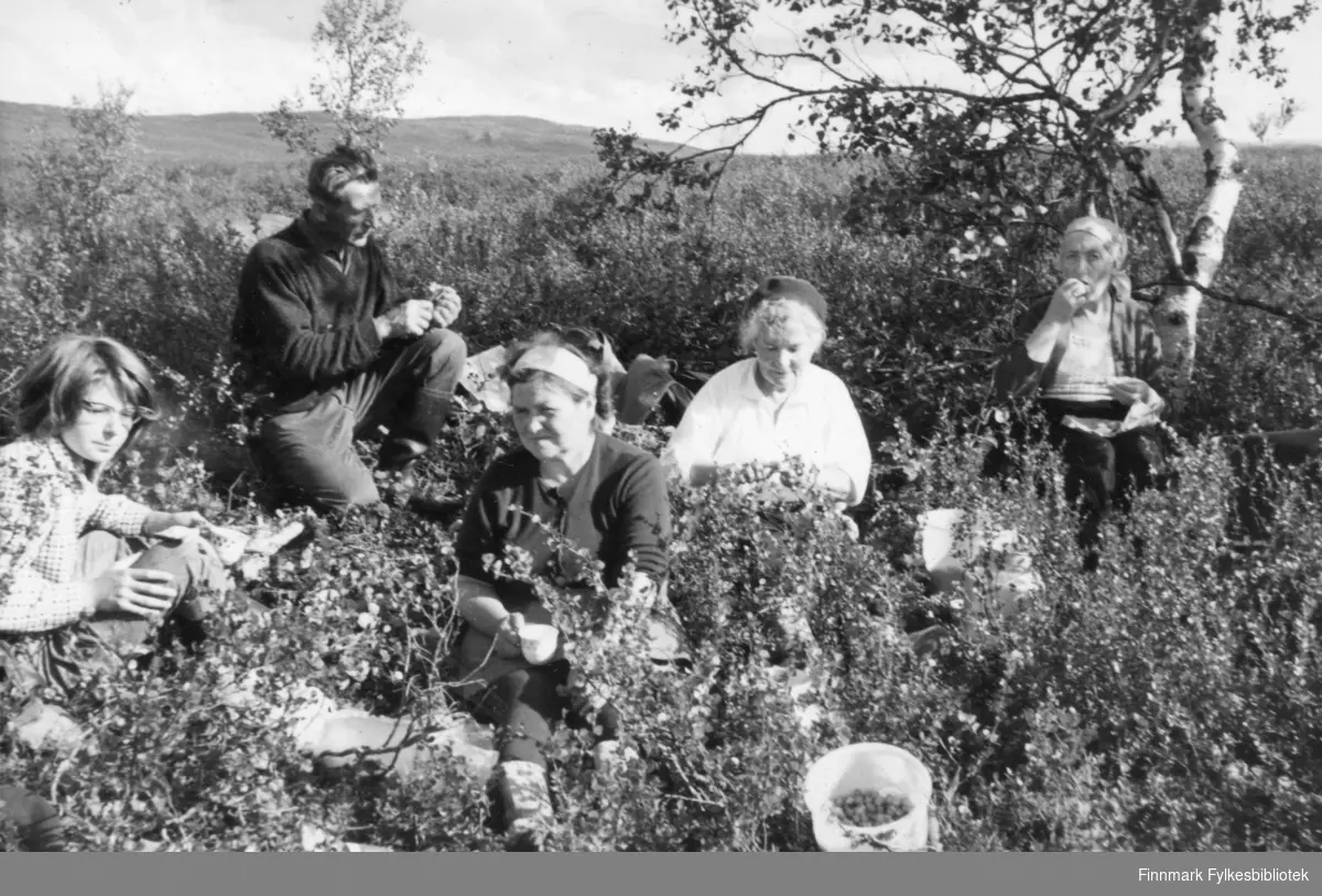Britt Inger Mikkelsen, Arne Mikkelsen, Hilma Mathisen, Dagmar Mikkelsen og Astrid Mikkola på multebærtur på Ferdesmyra i Neiden. Tidspunktet er ca. 1960-tallet.