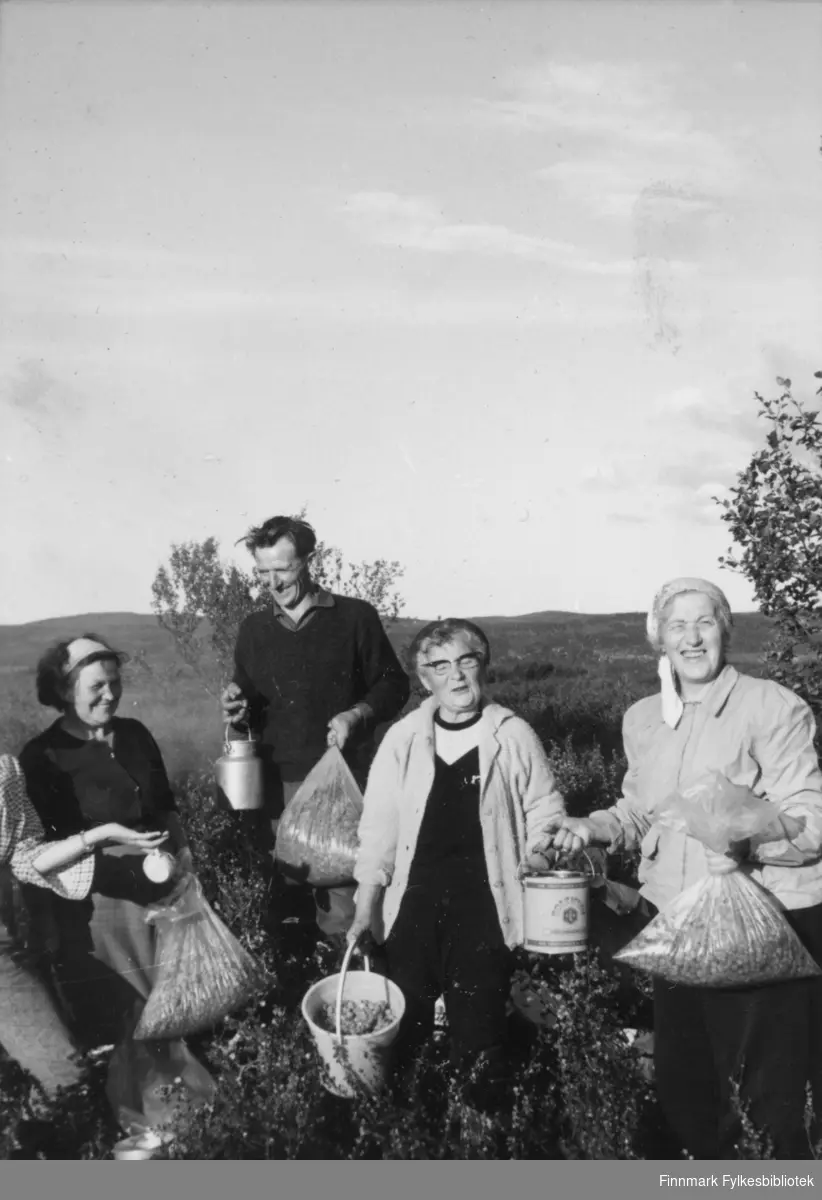 Hilma Mathisen, Arne Mikkelsen, Astrid Mikkola og Dagmar Mikkelsen på multebærtur på Ferdesmyra i Neiden antakelig på 1960-tallet.